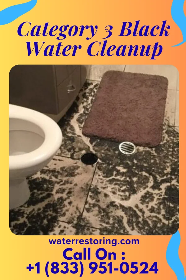 Category 3 Black Water Cleanup in Deepwater, MO