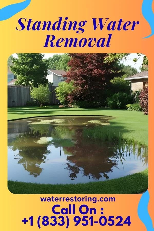 Standing Water Removal in Deepwater, MO